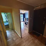 Cozy Sunny Apartment